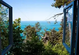 窗口期北京国安调整名单以备NBA总决赛；回应争议环节打磨；球迷炸锅；身体对抗强度拉满的简单介绍